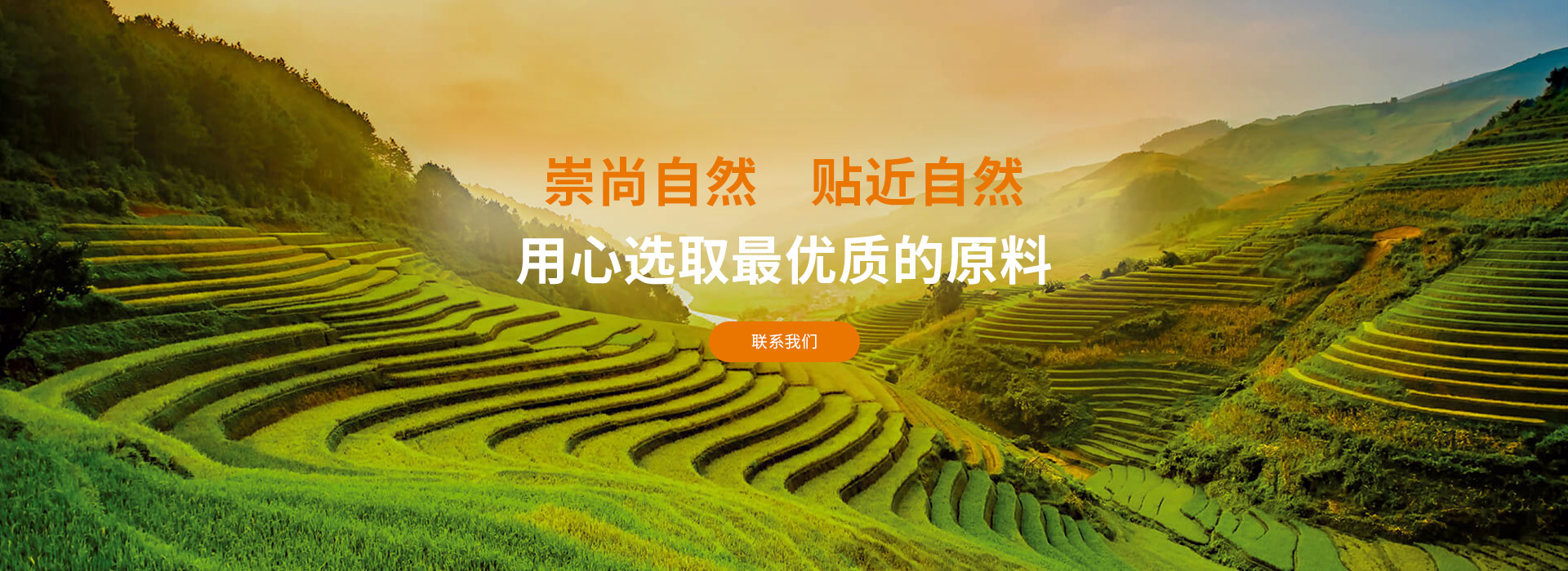 有机小米糙米拉面/面条